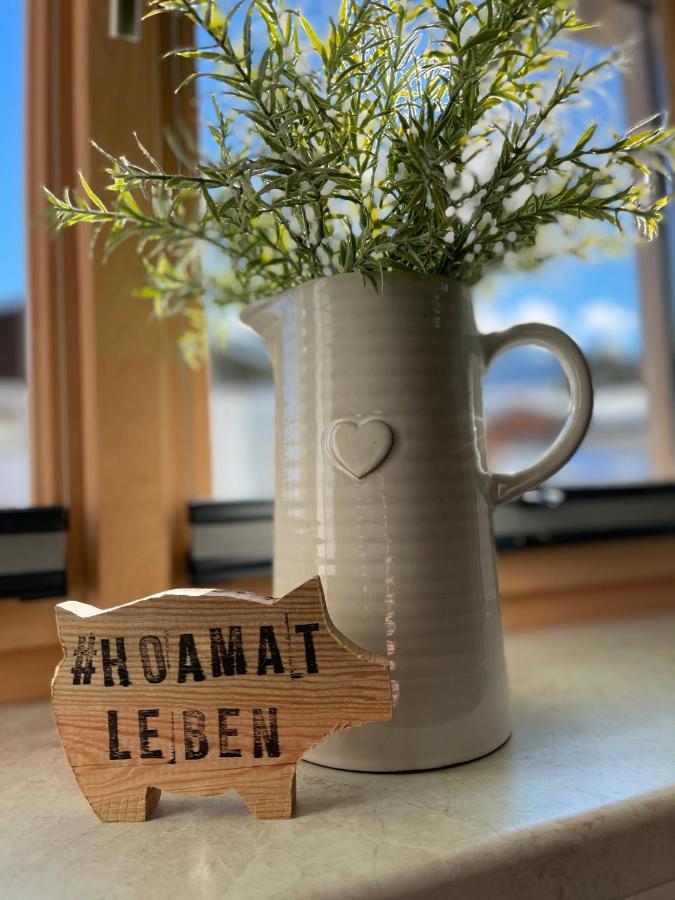 Apartmán Hoamat Leben Leogang